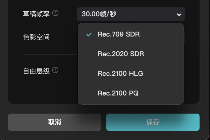 Color Space Options in CapCut